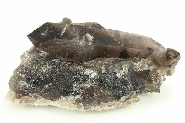 Dark Smoky Quartz Crystal Cluster - Brazil #273004
